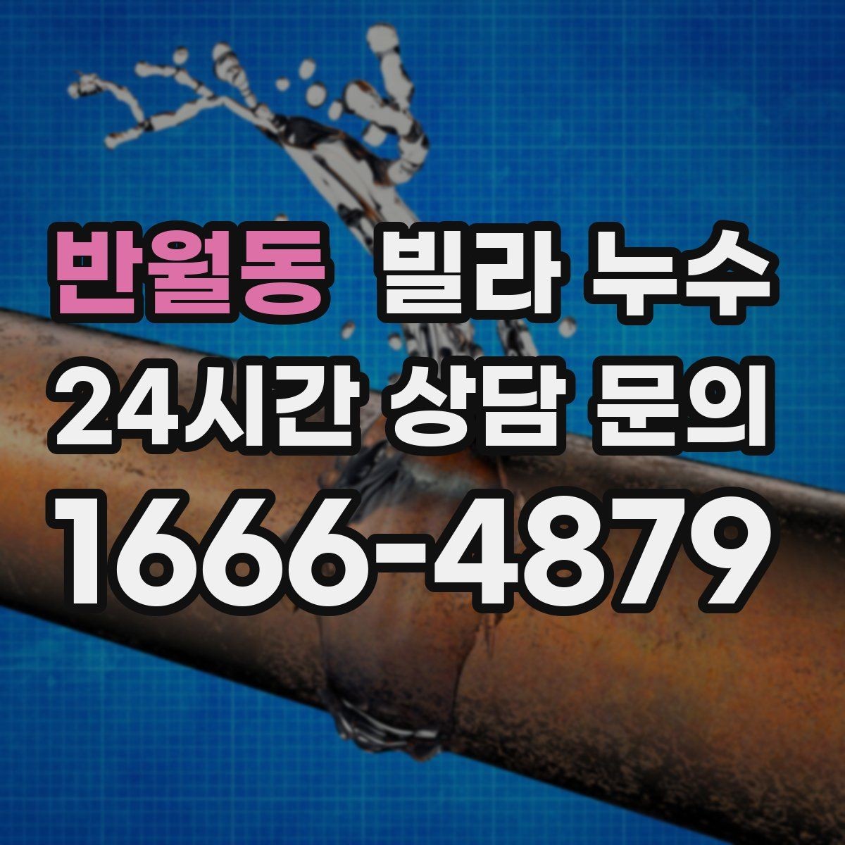 반월동 빌라 누수 욕실 타일 줄눈이 떨어지면 누수로 이어질 수 있어요