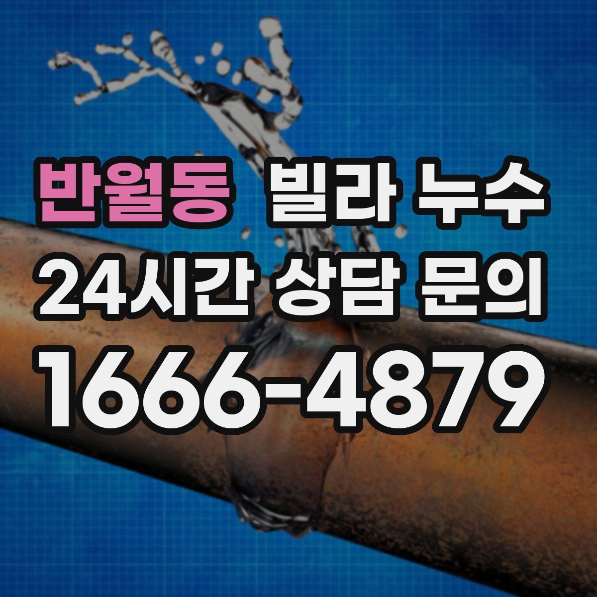 반월동 빌라 누수