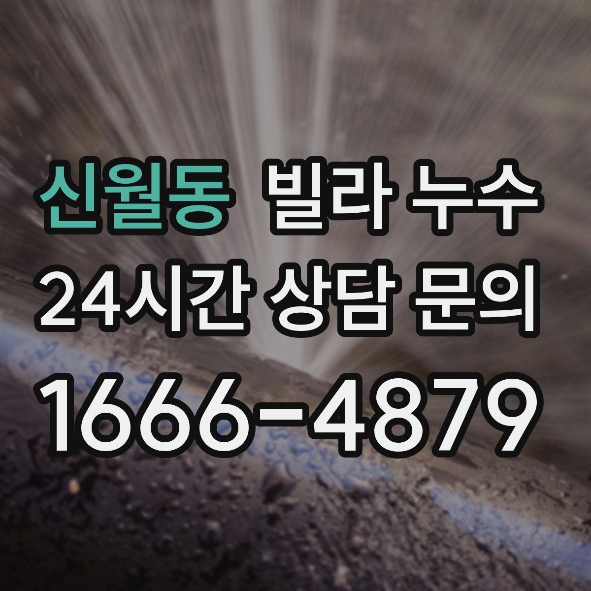 신월동 빌라 누수