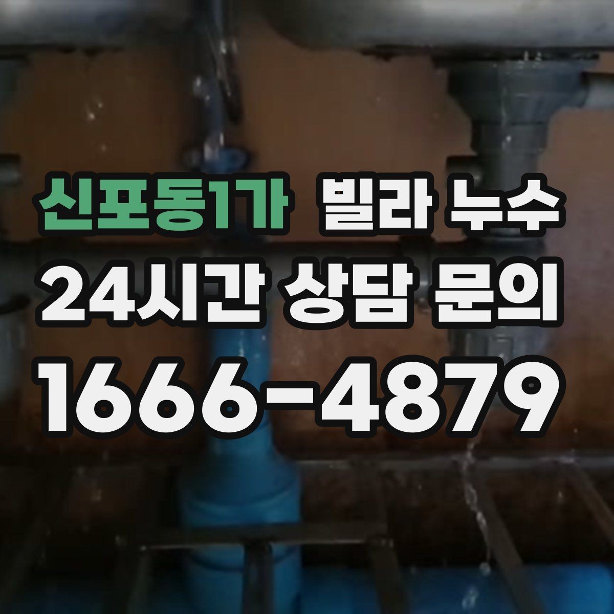 신포동1가 빌라 누수 곰팡이 번지기 전 빠른 점검이 필요한 이유