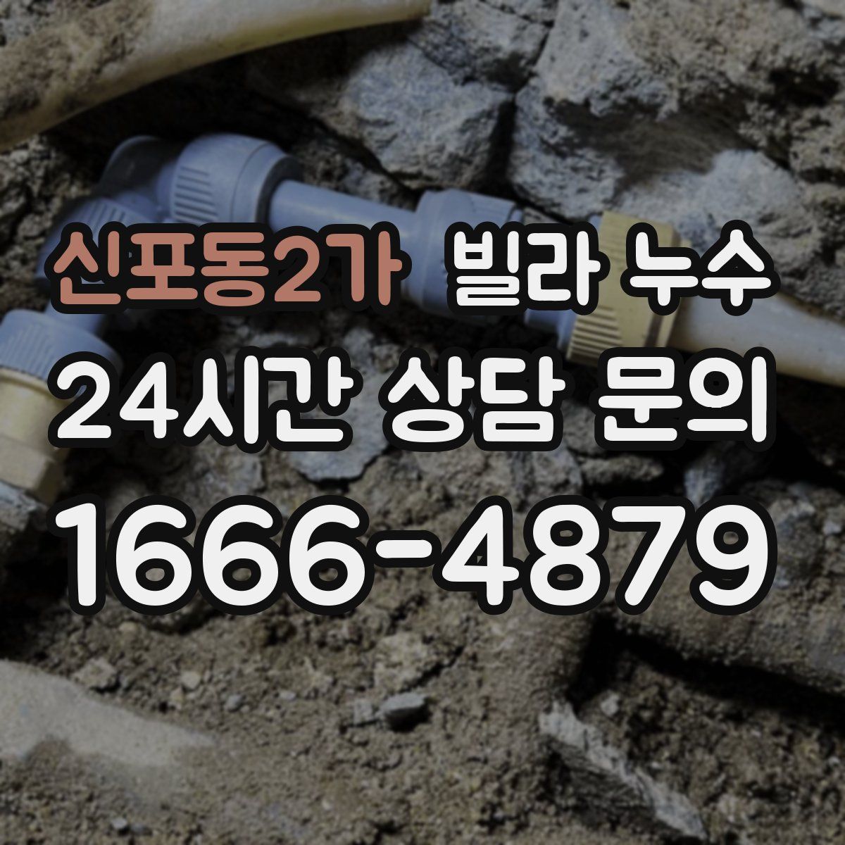 신포동2가 빌라 누수