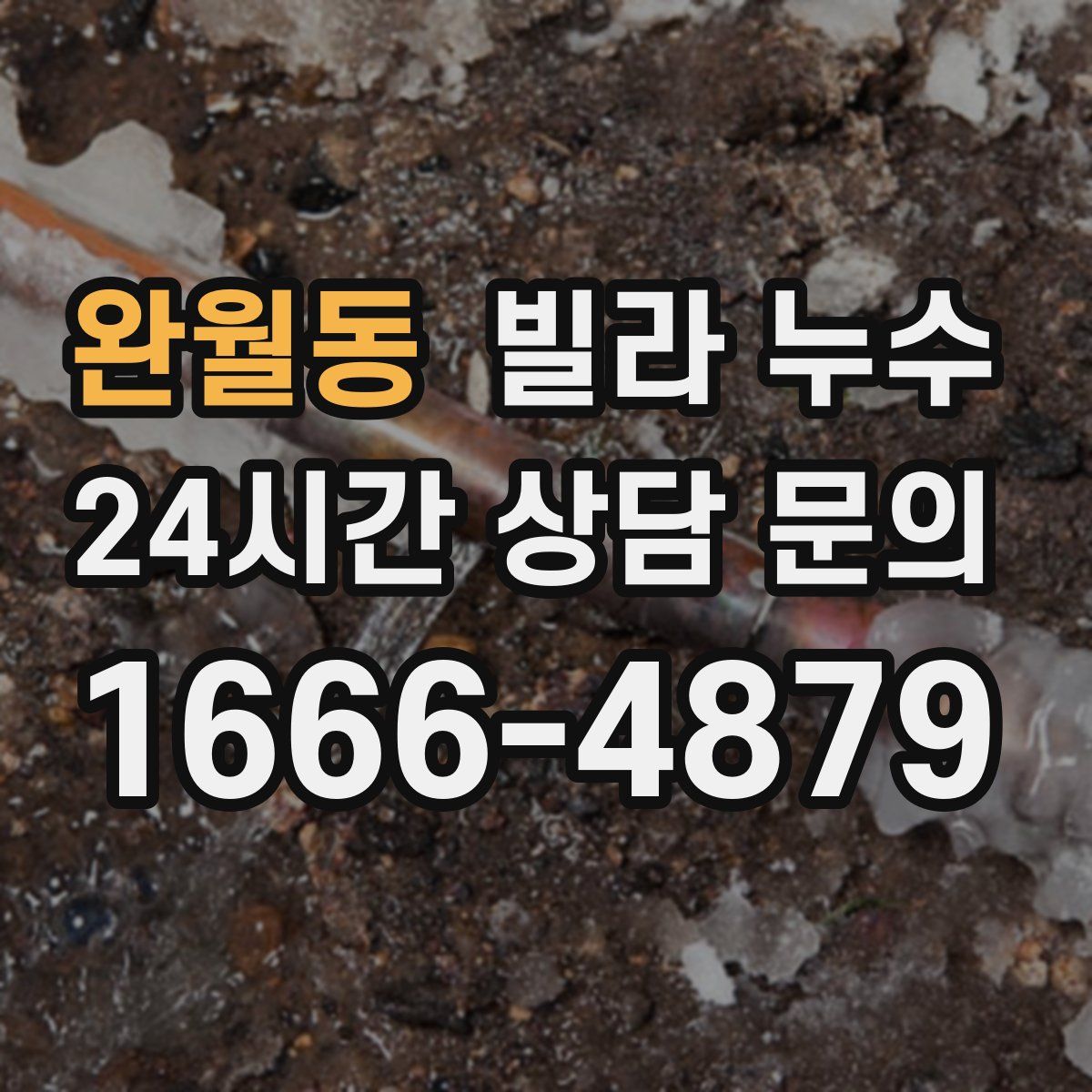 완월동 빌라 누수