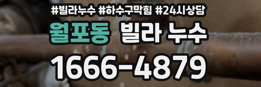 월포동 빌라 누수