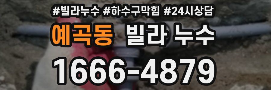 예곡동 빌라 누수