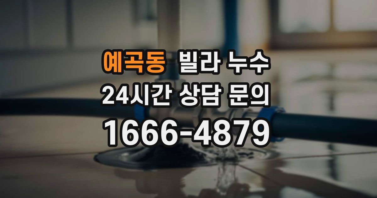예곡동 빌라 누수