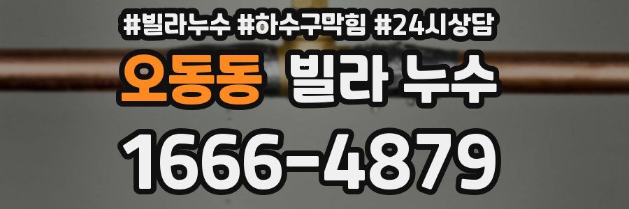 오동동 빌라 누수