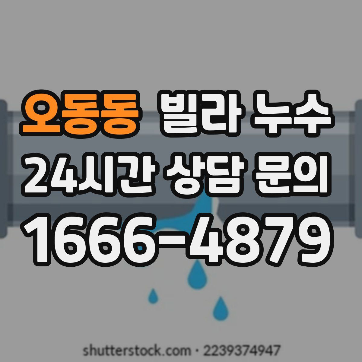 오동동 빌라 누수