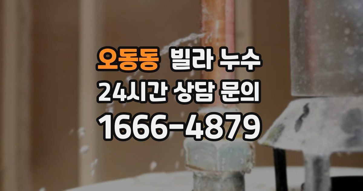 오동동 빌라 누수