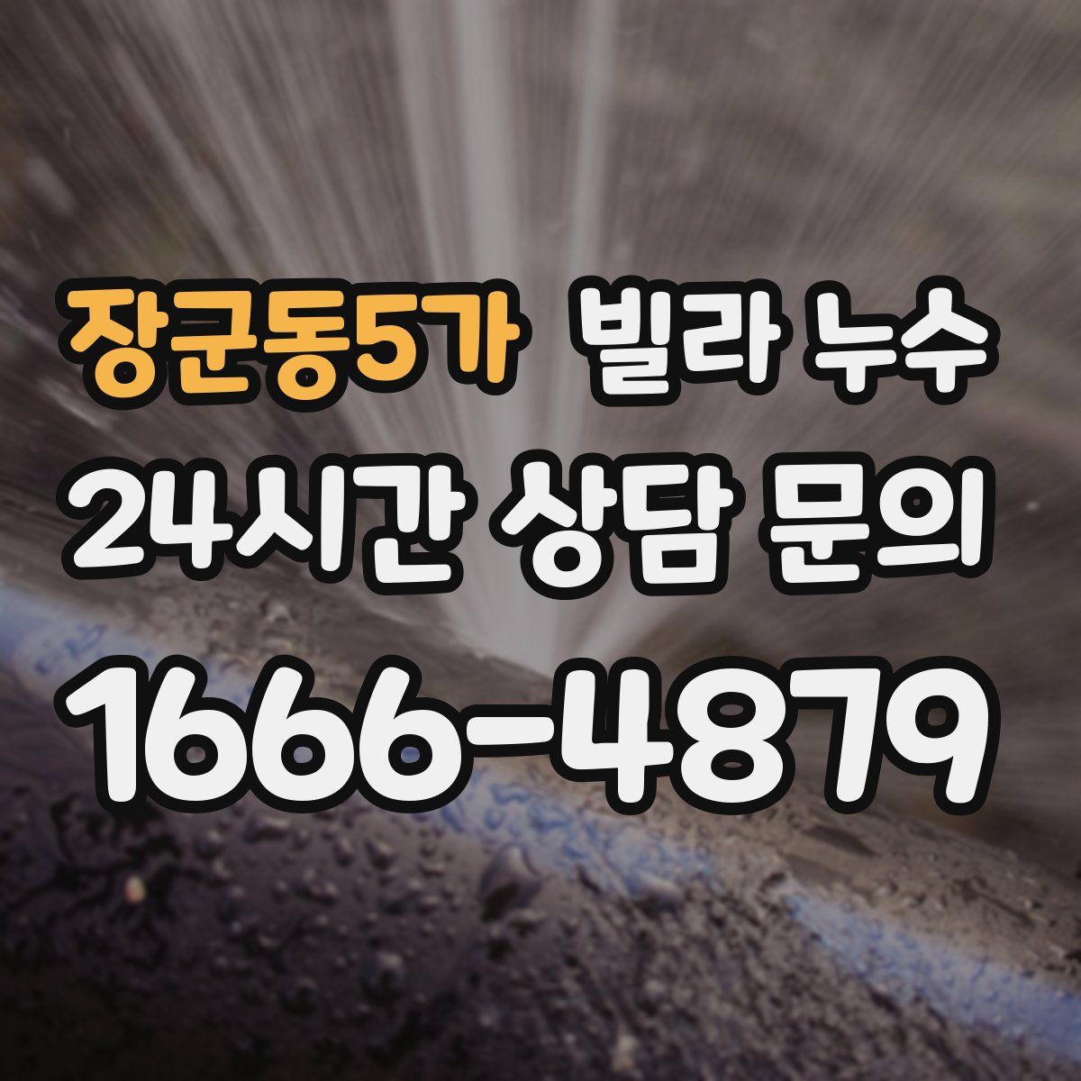 장군동5가 빌라 누수