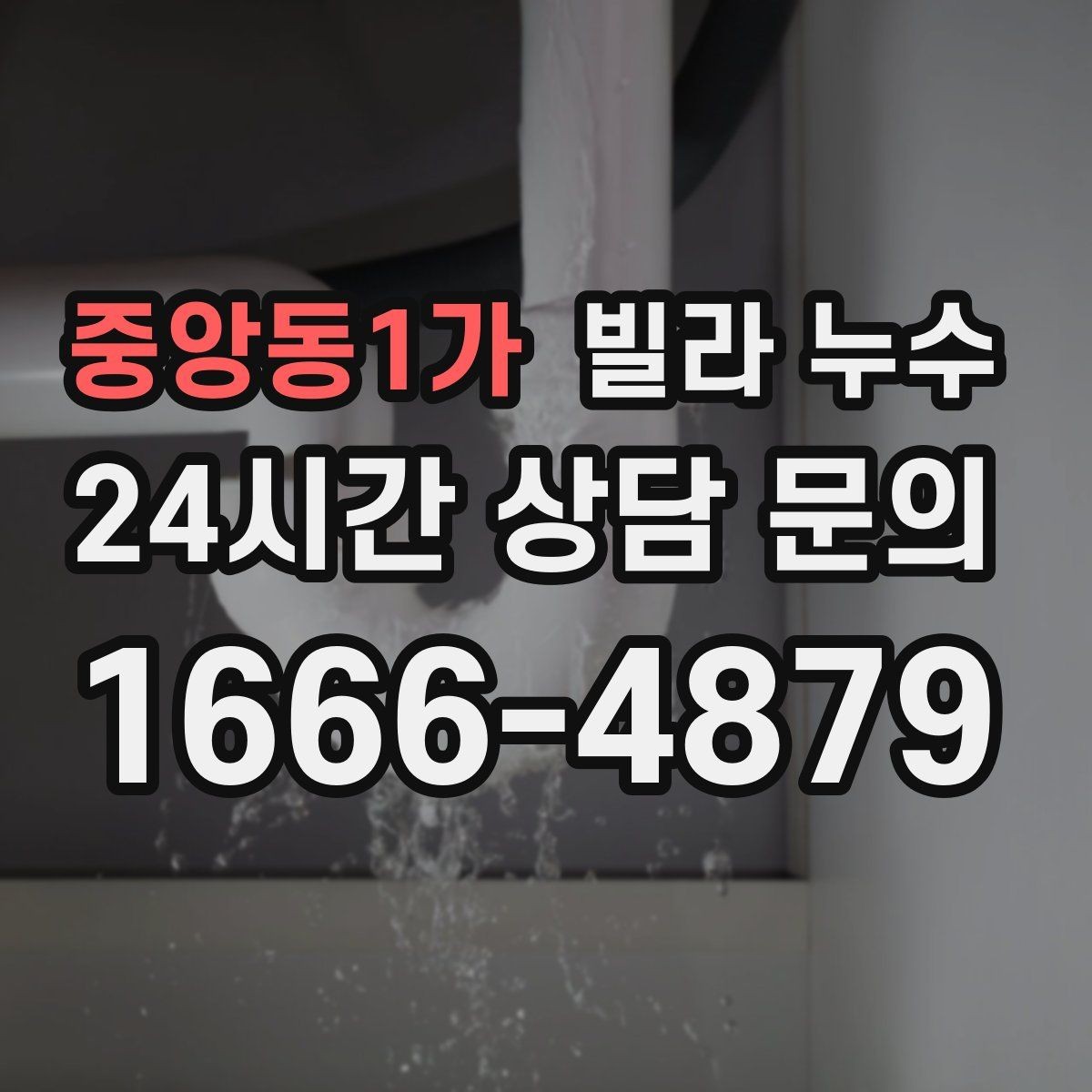 중앙동1가 빌라 누수 배수구 역류가 누수처럼 보일 때