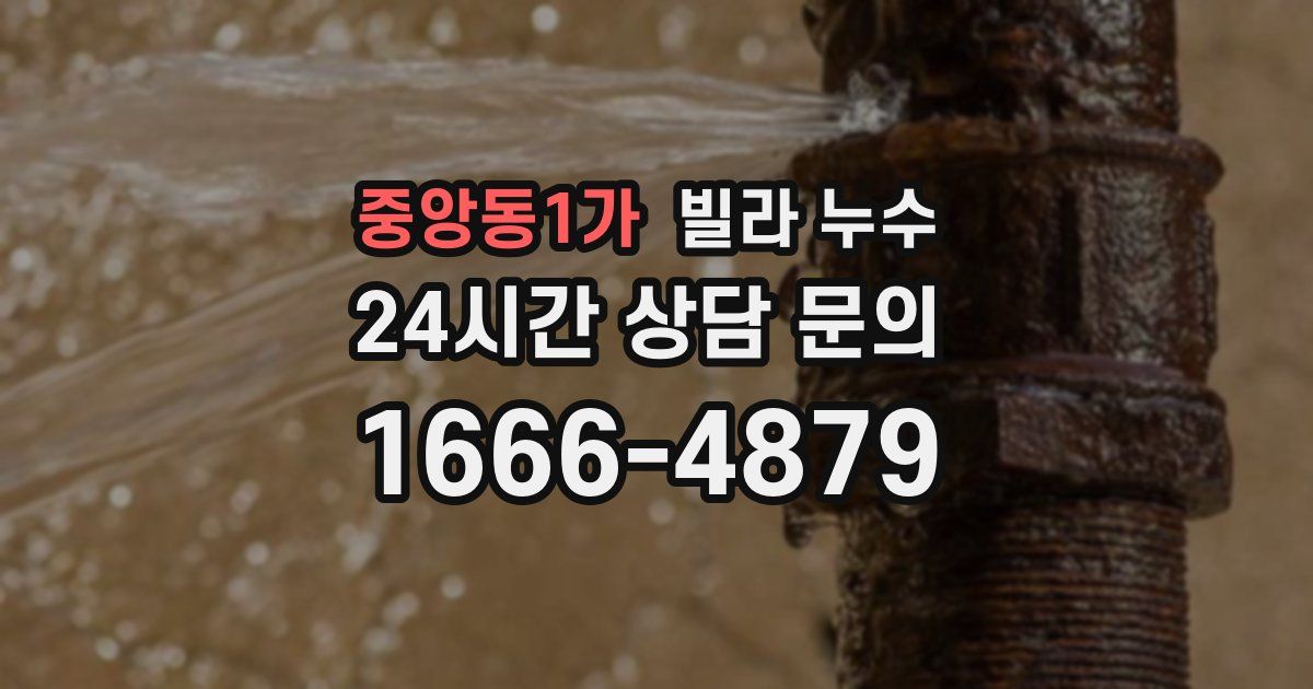 중앙동1가 빌라 누수