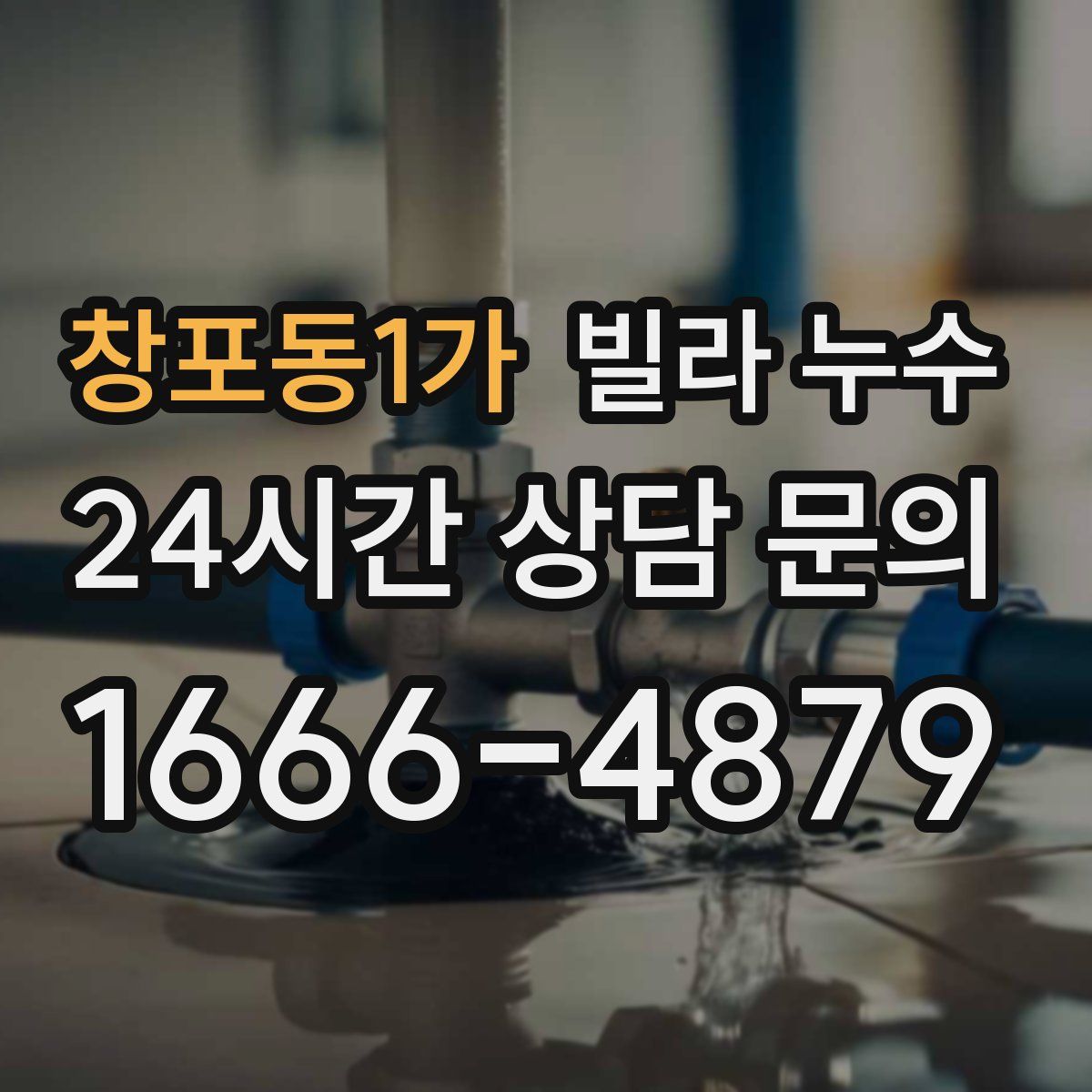 창포동1가 빌라 누수