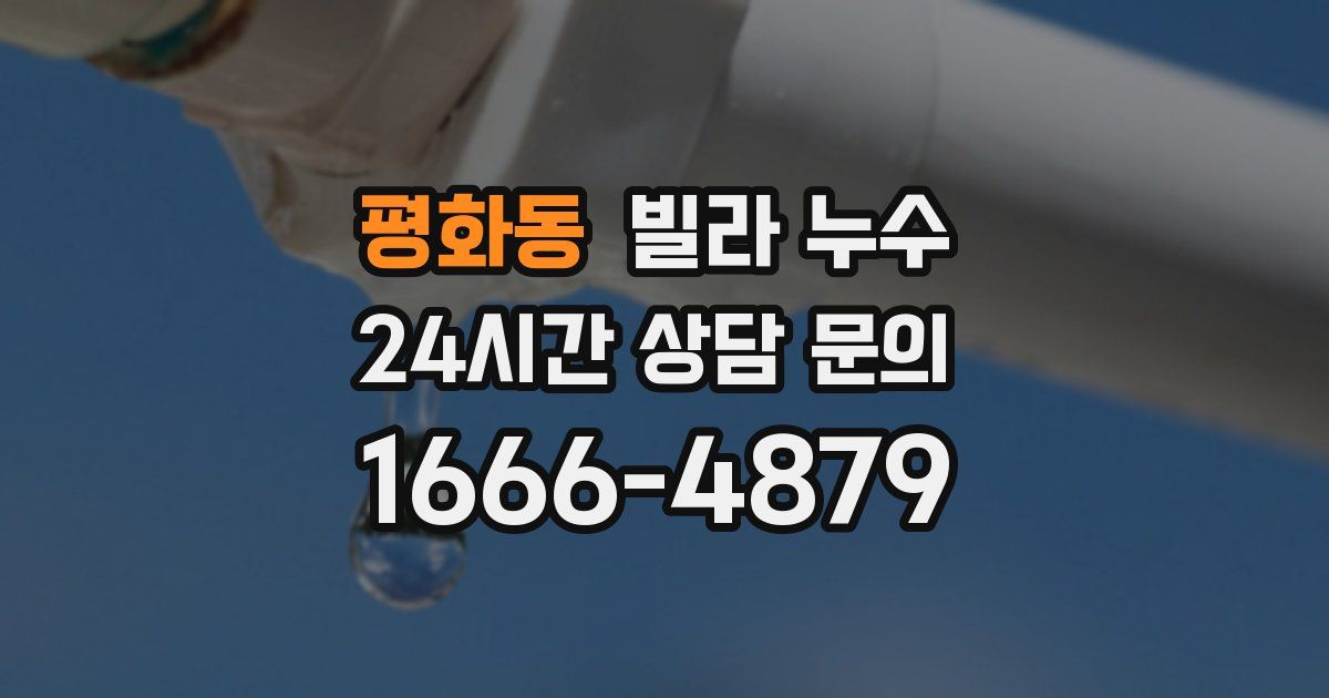 평화동 빌라 누수