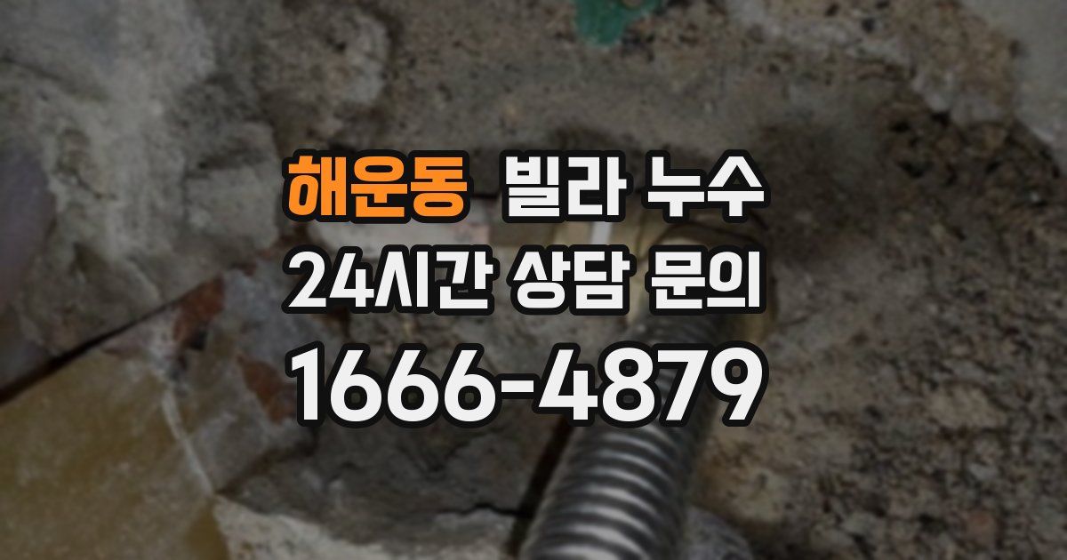 해운동 빌라 누수