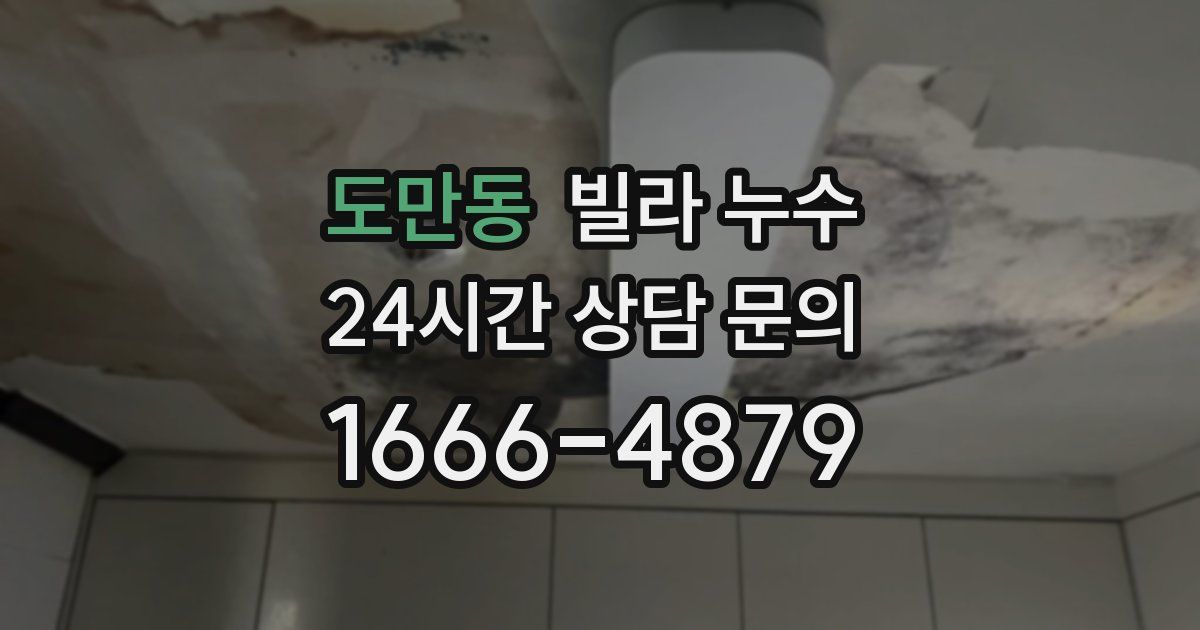 도만동 빌라 누수