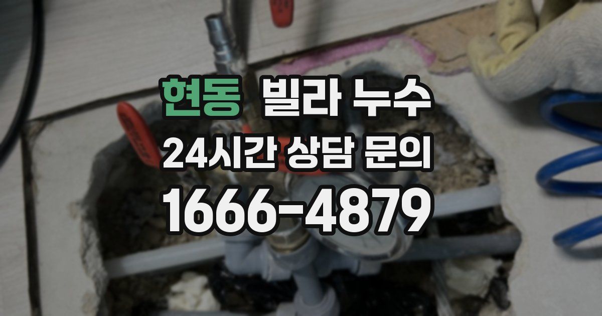 현동 빌라 누수