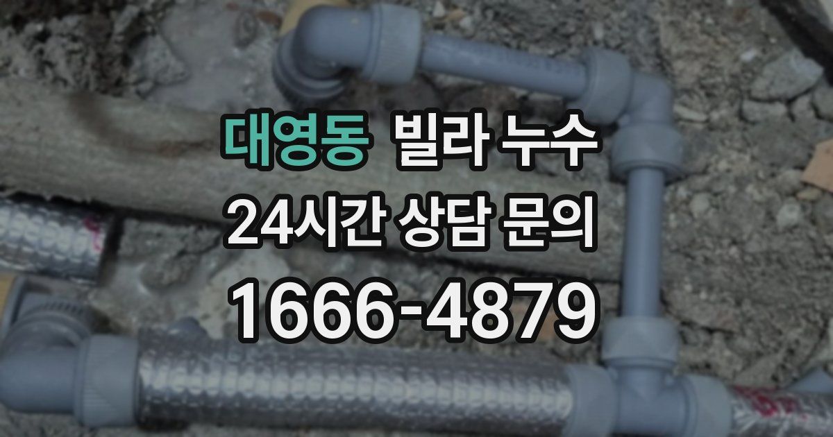 대영동 빌라 누수