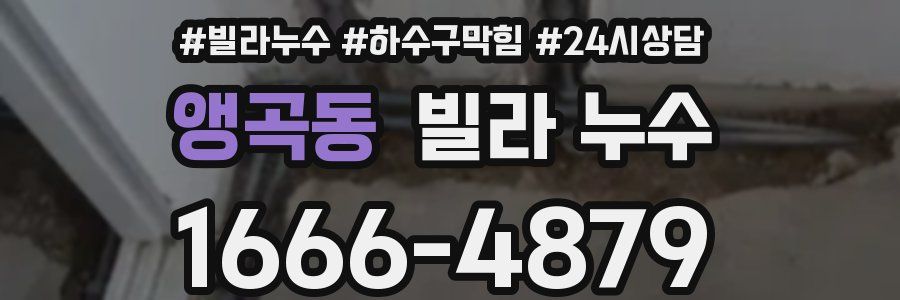앵곡동 빌라 누수