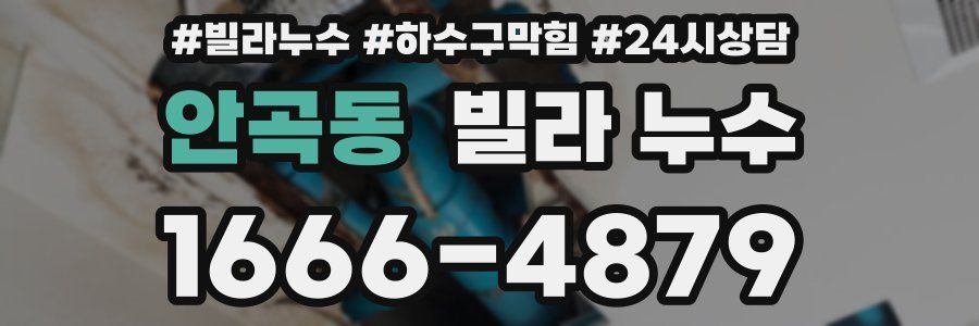 안곡동 빌라 누수