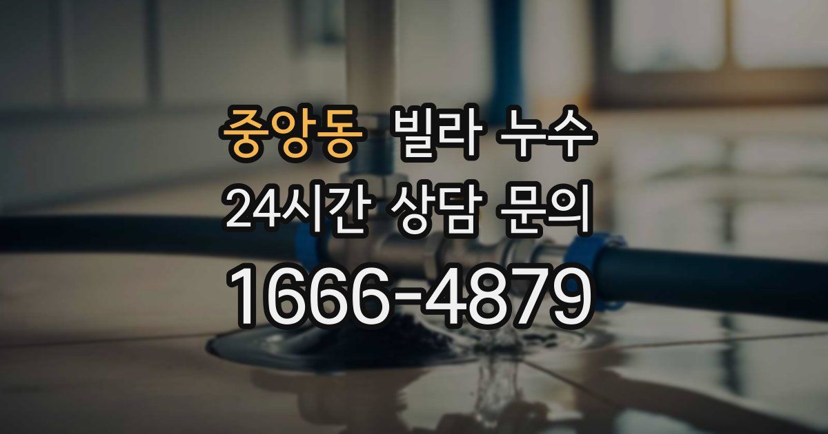 중앙동 빌라 누수