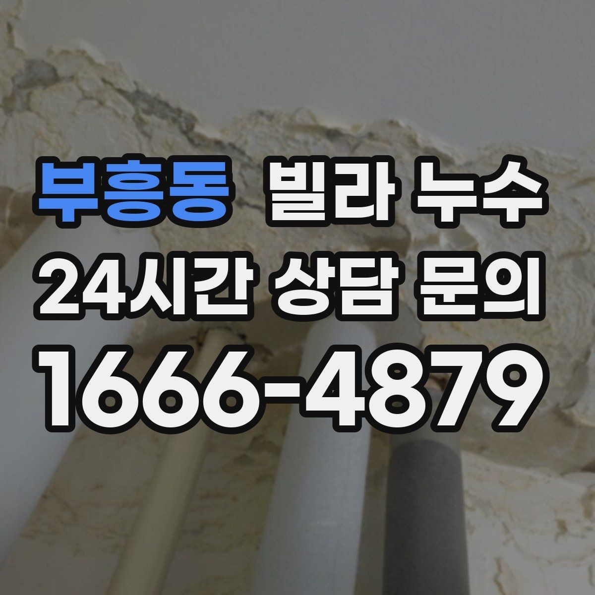 부흥동 빌라 누수 젖은 벽 주변 전기 사용 전 주의사항