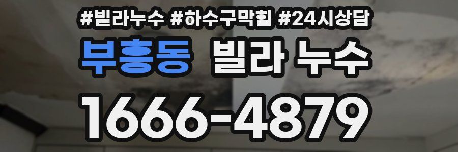 부흥동 빌라 누수