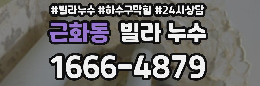 근화동 빌라 누수