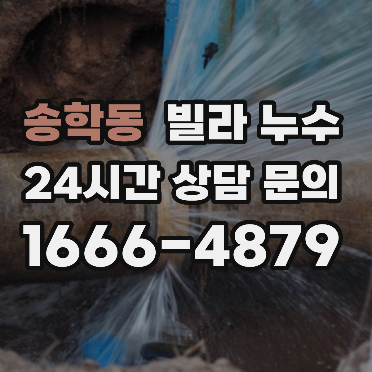 송학동 빌라 누수