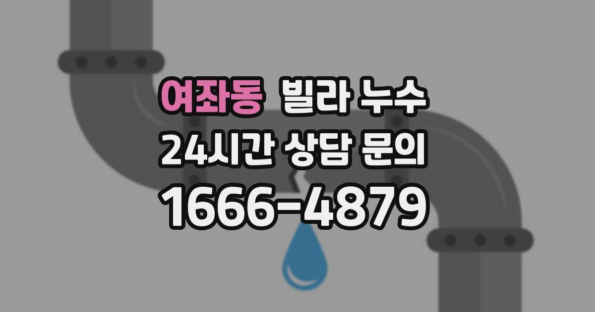여좌동 빌라 누수