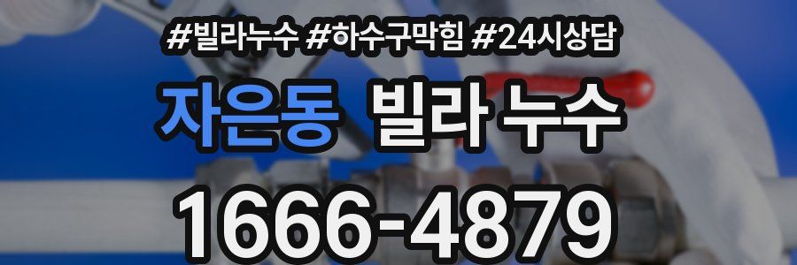 자은동 빌라 누수