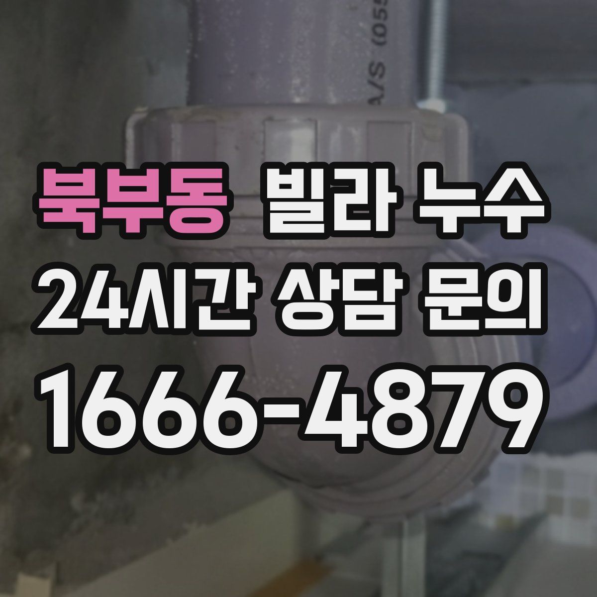 북부동 빌라 누수