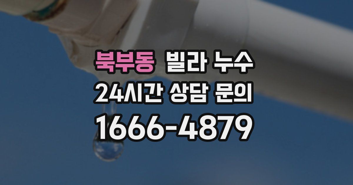 북부동 빌라 누수