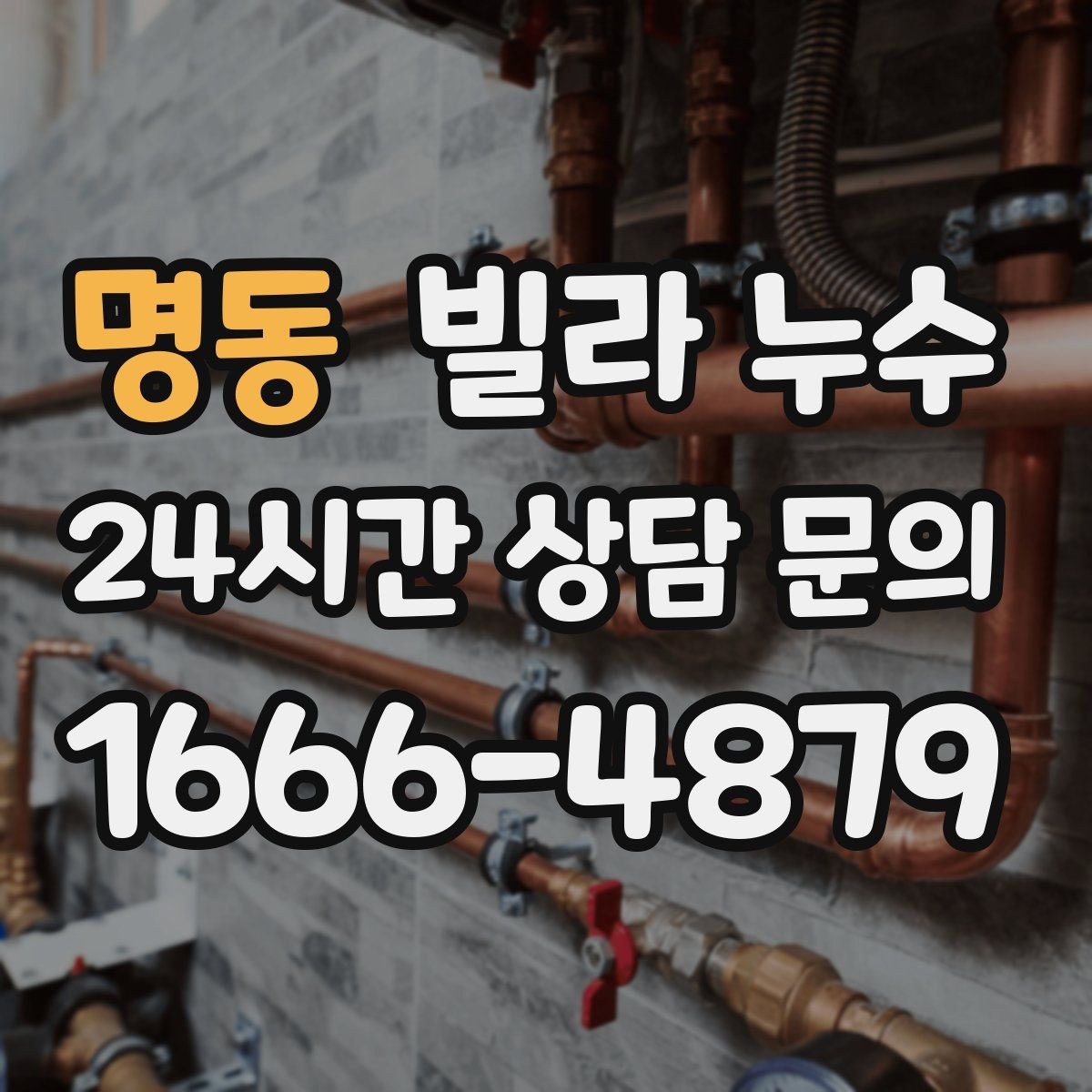 명동 빌라 누수 젖은 벽 근처 전기 사용 전 주의사항