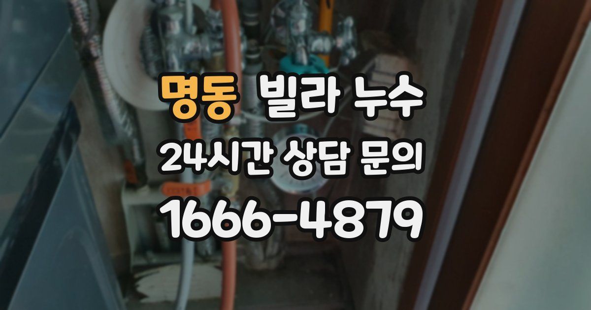 명동 빌라 누수