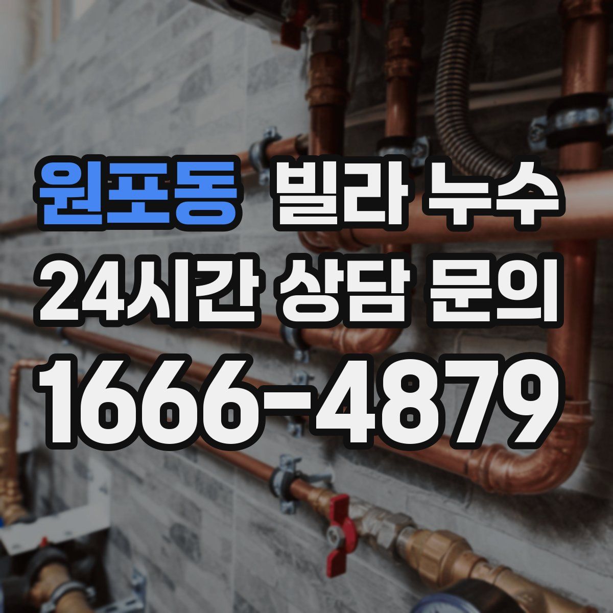 원포동 빌라 누수