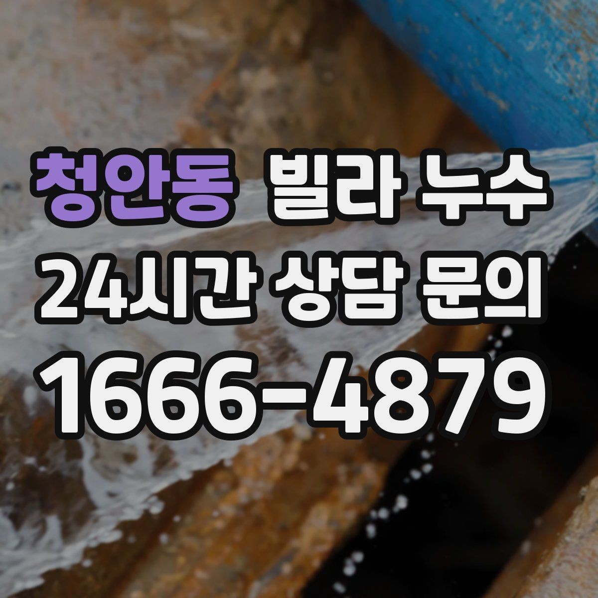청안동 빌라 누수 세탁실 바닥 배수구가 넘칠 때 대처
