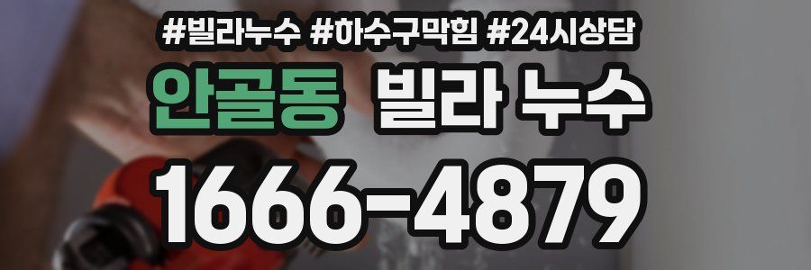 안골동 빌라 누수