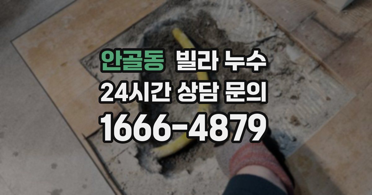 안골동 빌라 누수