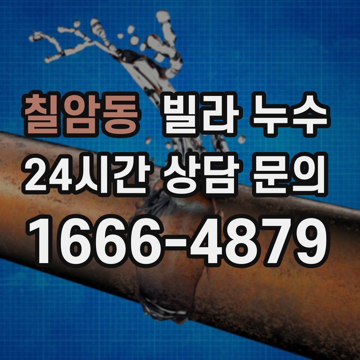 칠암동 빌라 누수