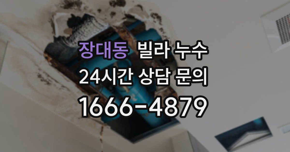 장대동 빌라 누수