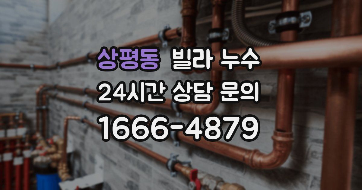 상평동 빌라 누수