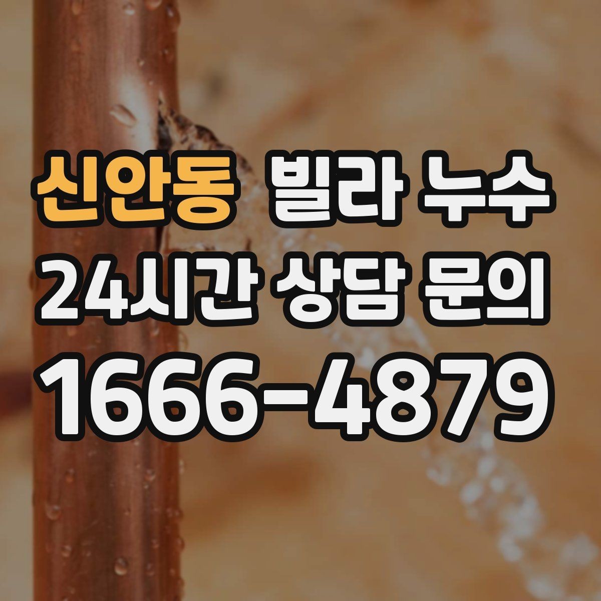 신안동 빌라 누수 응급으로 할 수 있는 조치와 한계
