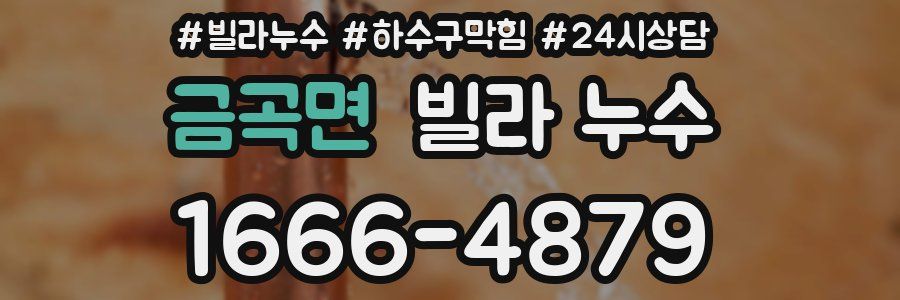 금곡면 빌라 누수