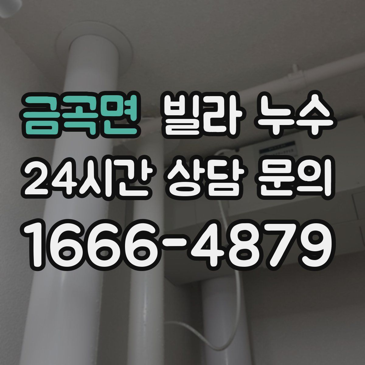 금곡면 빌라 누수