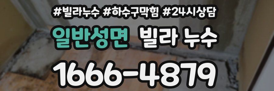 일반성면 빌라 누수