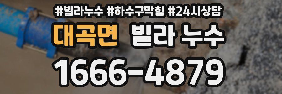 대곡면 빌라 누수