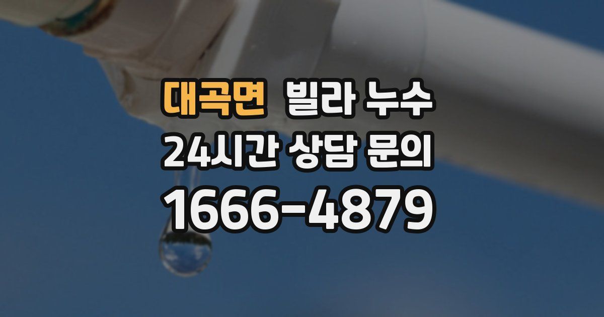 대곡면 빌라 누수