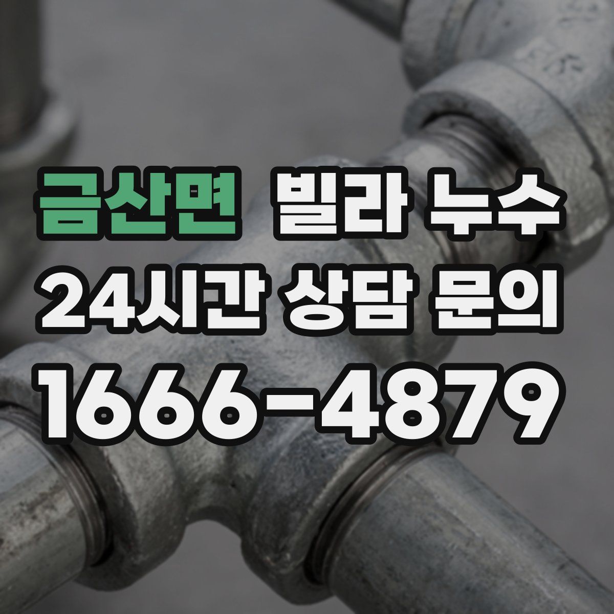 금산면 빌라 누수