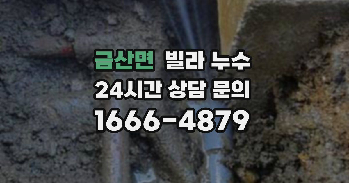 금산면 빌라 누수