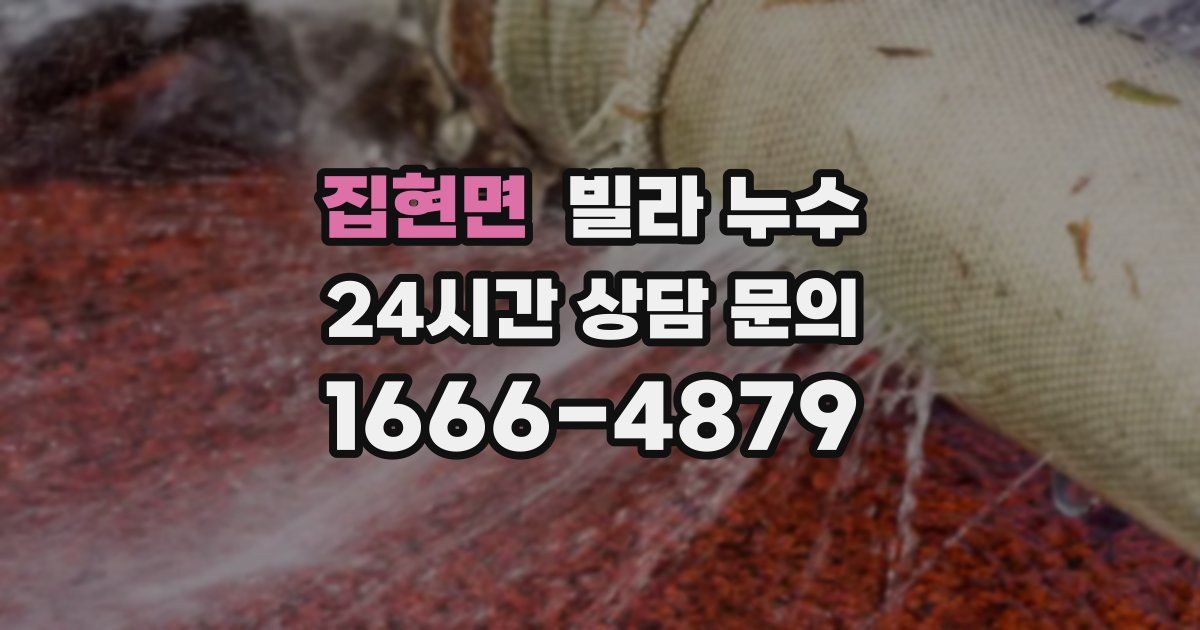 집현면 빌라 누수